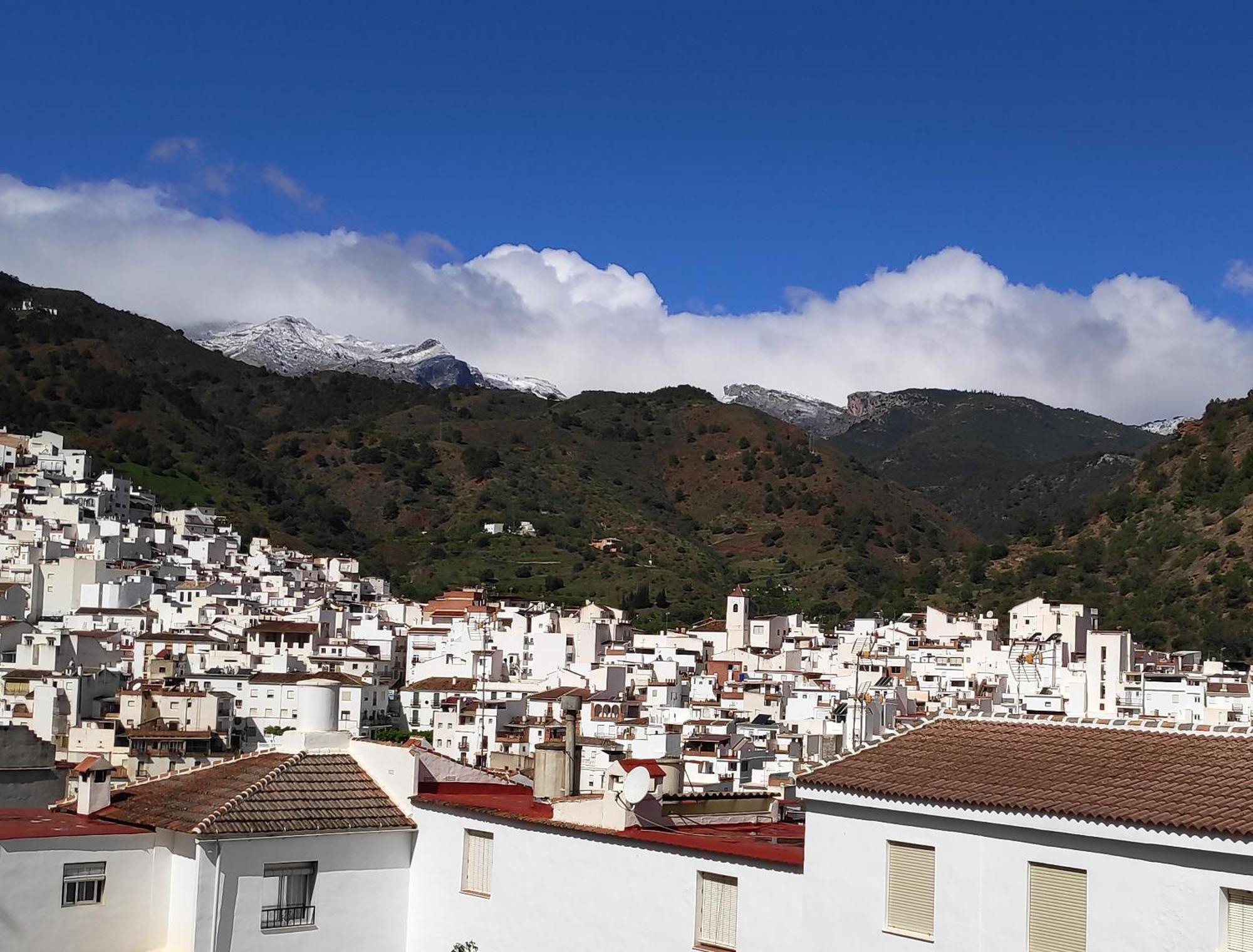 Apartamento El Almencino トロクス エクステリア 写真